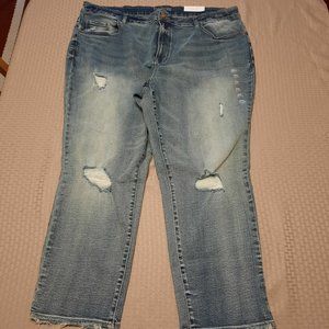 NEW MAURICES Plus Size 22W Regular ~ Slim Straight